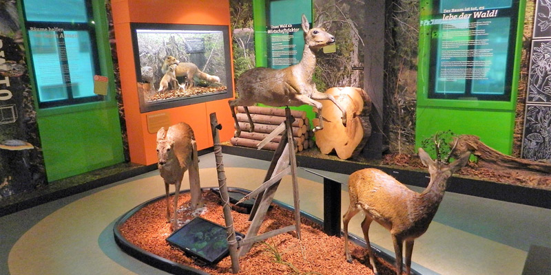 Entdecken Sie den Rennsteig – Lauscha Glaskunst und die magische Atmosphäre des Weihnachtslands am Rennsteig®.